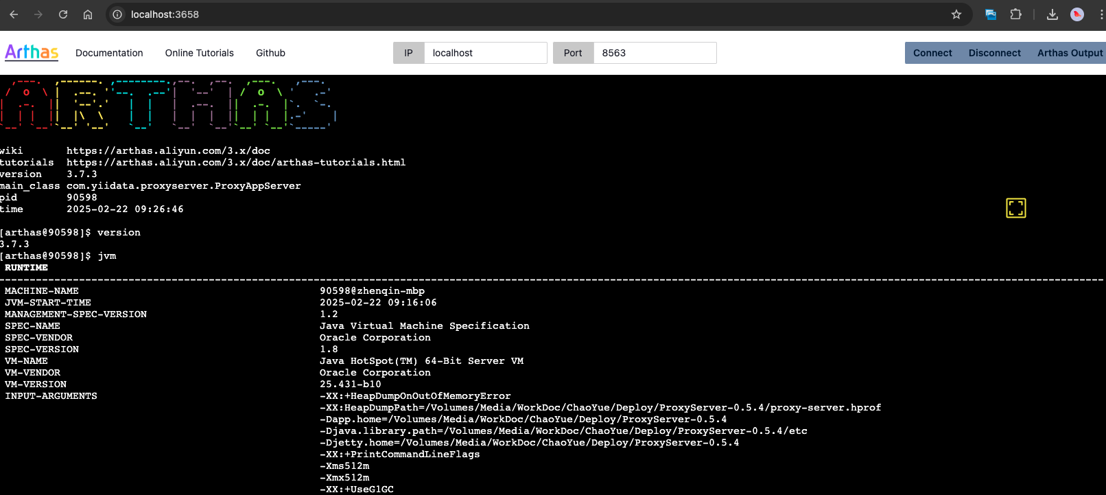 arthas-web-terminal